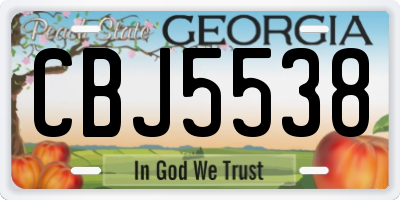 GA license plate CBJ5538