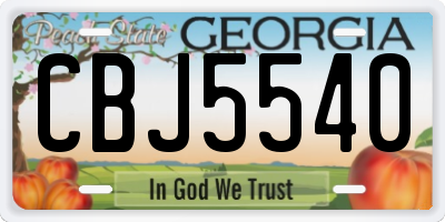 GA license plate CBJ5540