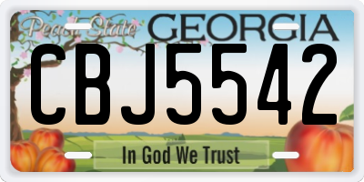 GA license plate CBJ5542