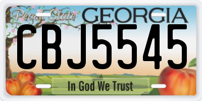 GA license plate CBJ5545