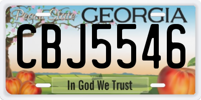 GA license plate CBJ5546