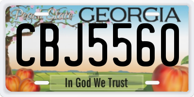 GA license plate CBJ5560