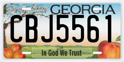 GA license plate CBJ5561