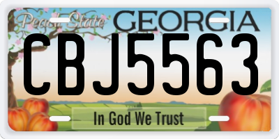 GA license plate CBJ5563