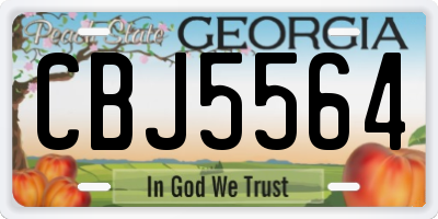 GA license plate CBJ5564