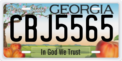 GA license plate CBJ5565