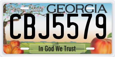 GA license plate CBJ5579