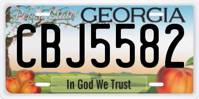 GA license plate CBJ5582