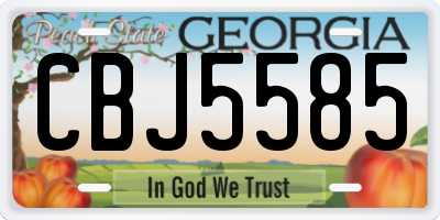 GA license plate CBJ5585