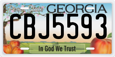 GA license plate CBJ5593