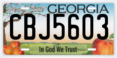 GA license plate CBJ5603