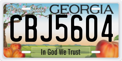 GA license plate CBJ5604