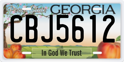 GA license plate CBJ5612
