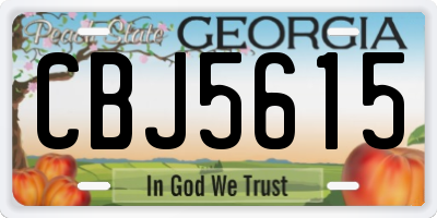 GA license plate CBJ5615