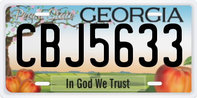 GA license plate CBJ5633