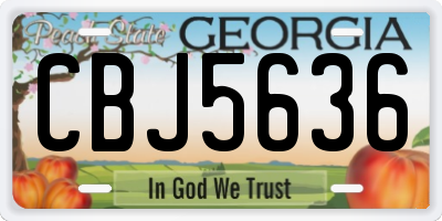 GA license plate CBJ5636