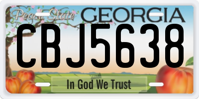 GA license plate CBJ5638