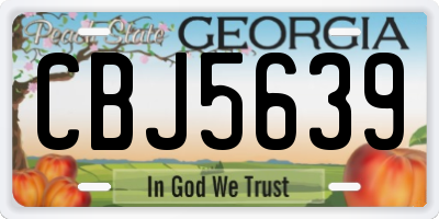 GA license plate CBJ5639