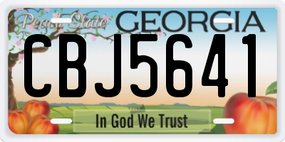 GA license plate CBJ5641