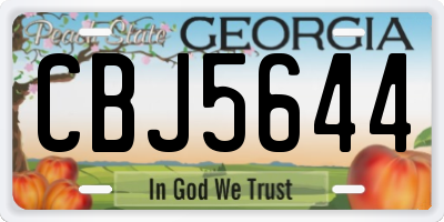 GA license plate CBJ5644