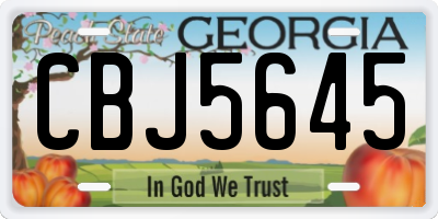 GA license plate CBJ5645