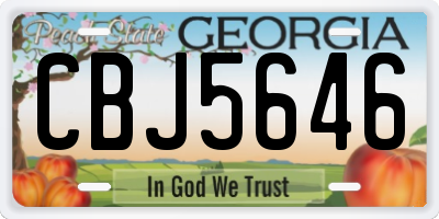 GA license plate CBJ5646