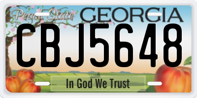 GA license plate CBJ5648