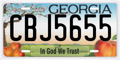 GA license plate CBJ5655