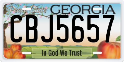 GA license plate CBJ5657