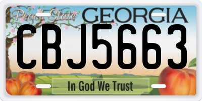 GA license plate CBJ5663