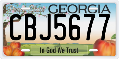 GA license plate CBJ5677