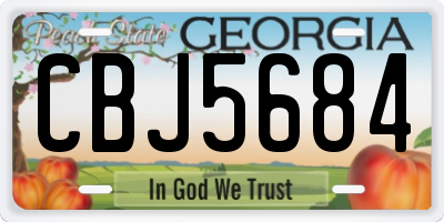 GA license plate CBJ5684