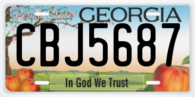 GA license plate CBJ5687