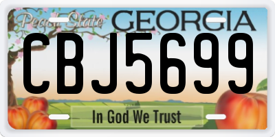 GA license plate CBJ5699