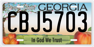 GA license plate CBJ5703