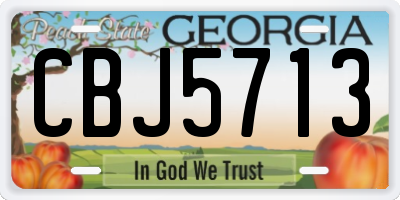 GA license plate CBJ5713