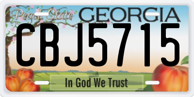 GA license plate CBJ5715