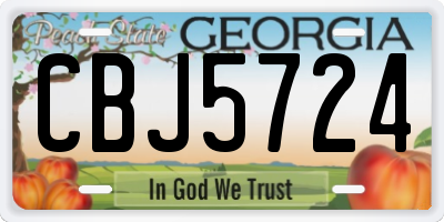 GA license plate CBJ5724