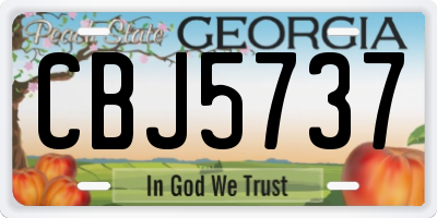 GA license plate CBJ5737