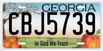 GA license plate CBJ5739