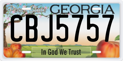 GA license plate CBJ5757