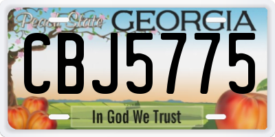 GA license plate CBJ5775