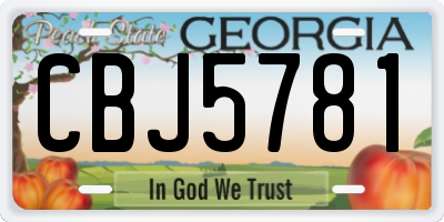 GA license plate CBJ5781