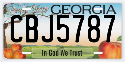 GA license plate CBJ5787