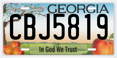 GA license plate CBJ5819