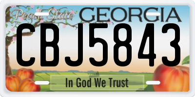 GA license plate CBJ5843
