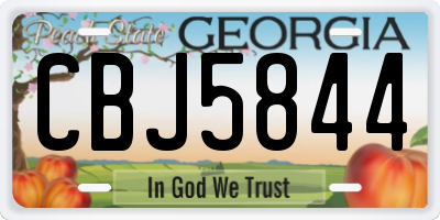 GA license plate CBJ5844