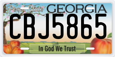 GA license plate CBJ5865