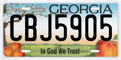 GA license plate CBJ5905