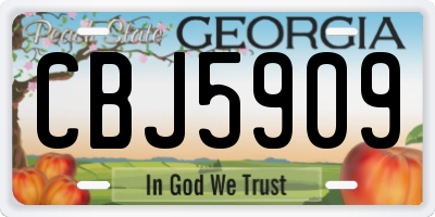 GA license plate CBJ5909